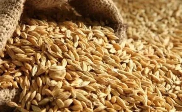 Цьогоріч є загроза скорочення врожаю майже вдвічі – Зеленський