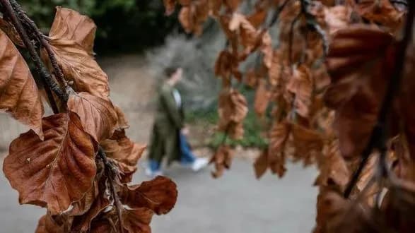 Спека спровокувала "хибну осінь" у Великій Британії