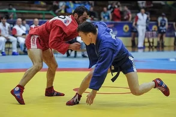 Україна бойкотуватиме чемпіонат Європи з самбо через участь у ньому росіян та білорусів