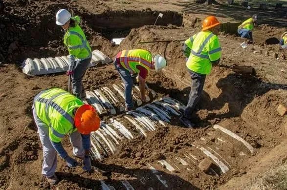 Одна з найжахливіших расистських трагедій у США: знайдено 21 нову могилу різанини в 1921 році