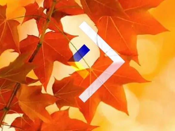 росіяни звозять на окуповані території своїх лікарів через відмову місцевих співпрацювати - Спротив