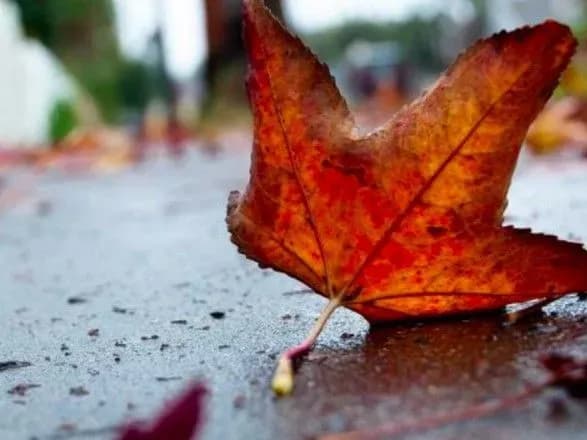 Від 0° до 13° тепла: прогноз погоди на сьогодні