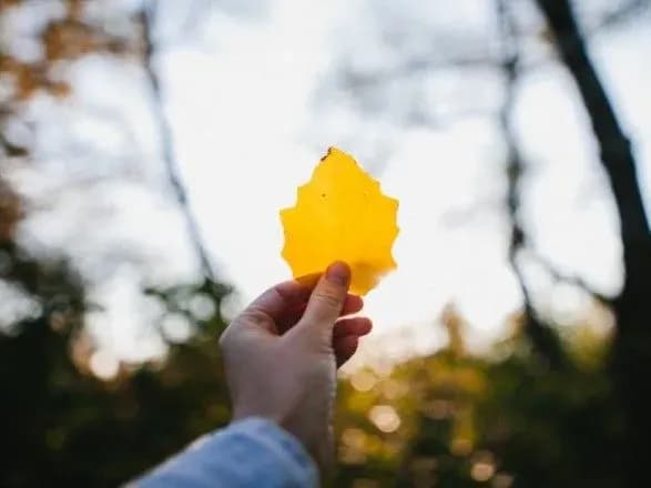 В Україні за кілька днів потеплішає - синоптики