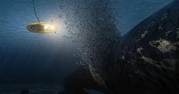 ВВС опублікували відео місця аварії на російських трубопроводах "Північний потік"