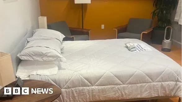 Ілон Маск перетворив Twitter на "готель" для співробітників - BBC