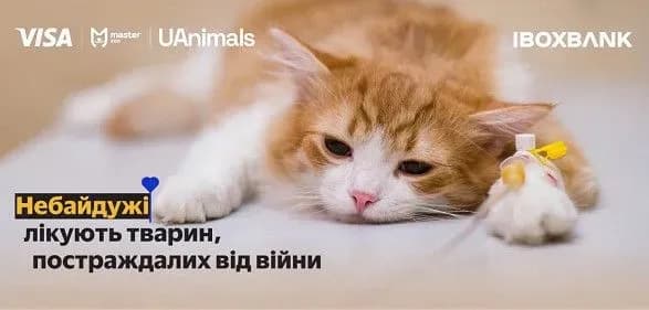 IBOX BANK вместе с MasterZoo, UAnimals при поддержке Visa, спасает жизни пострадавшим от войны животным