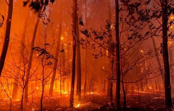 Найтепліші роки, які людство переживає нині, будуть одними з найпрохолодніших протягом життя покоління - ООН