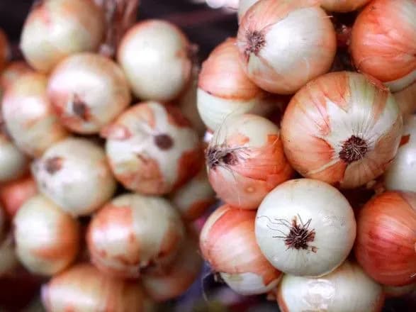 Цибуля уже дешевшає, ситуації з овочами борщового набору допоможе новий врожай - Мінагрополітики