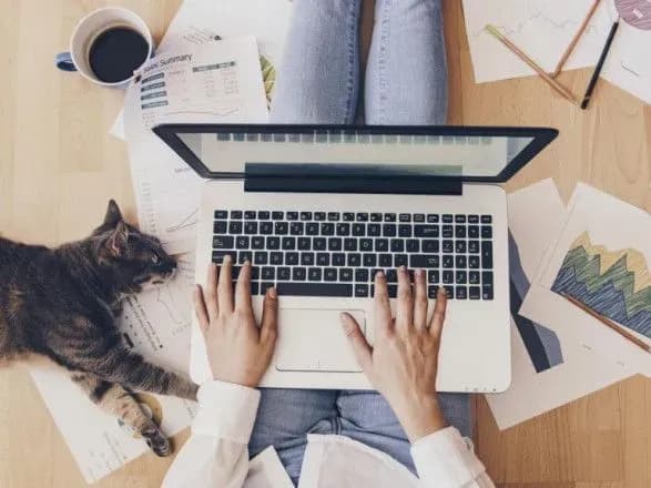 В Украине выросло количество предложений удаленной работы: ищут учителей английского языка и мастеров по изготовлению игрушек