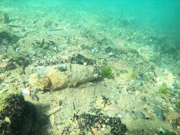 У водах Босфорської протоки в Стамбулі виявили нерозірваний боєприпас