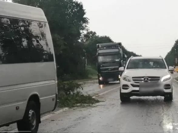 Движение на трассе Киев-Чоп в направлении Стрыя временно перекрыли: упало дерево