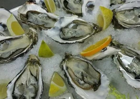 18 листопада: Міжнародний день устриць, День обізнаності про антибіотики