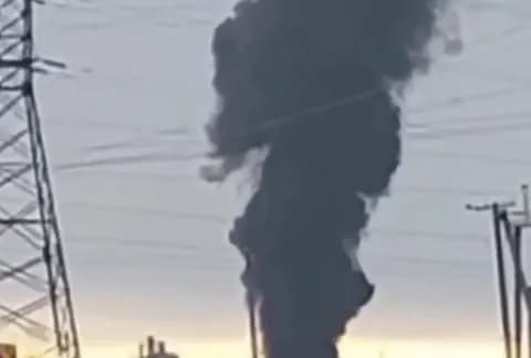 Cotton in Feodosia's industrial zone: what is known