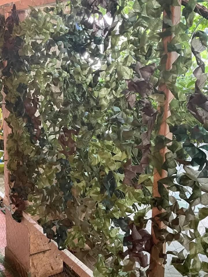 Сербія та Угорщина на кордоні блокують транзит маскувальних сіток для ЗСУ - волонтери