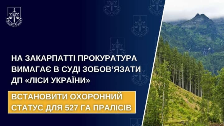 In Zakarpattia, the prosecutor's office demands in court to oblige "Forests of Ukraine" to establish protected status for 527 hectares of primeval forests