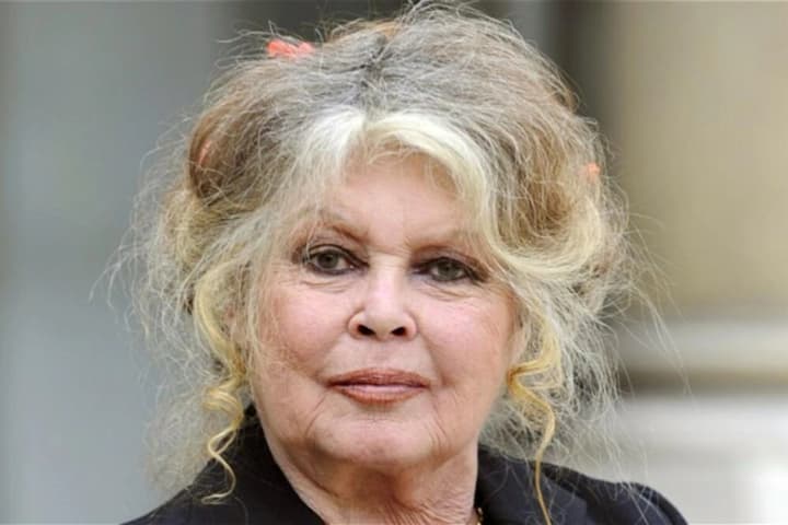 91-year-old Brigitte Bardot hospitalized in a private clinic in Toulon - Media