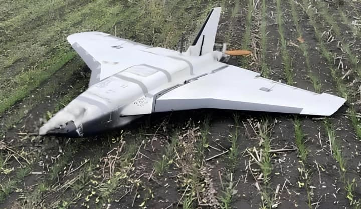 Стали більш небезпечними: російські військові модернізували БПЛА Гербера