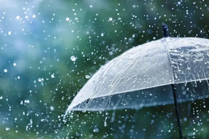 Ukraine to be covered by cloudy weather with rains, temperature up to +12° - Hydrometeorological Center