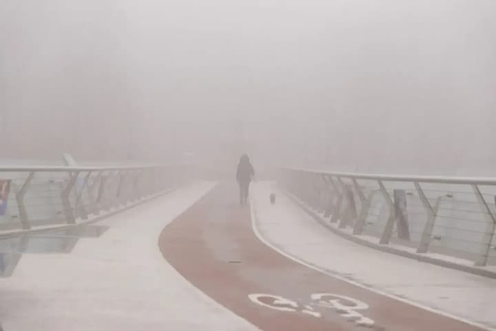 Туман накриє північ і центр України 17 грудня: водіям рекомендують бути обережними