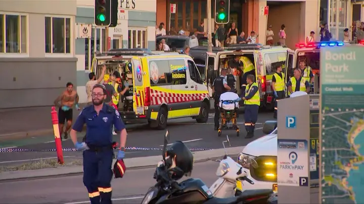 Сиднейскому стрелку предъявлено 59 обвинений, в том числе в убийстве и терроризме