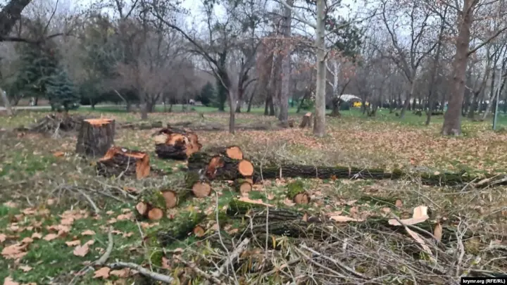 У Сімферополі під виглядом реконструкції парку Гагаріна знищують зелені насадження: деревину відправляють на фронт