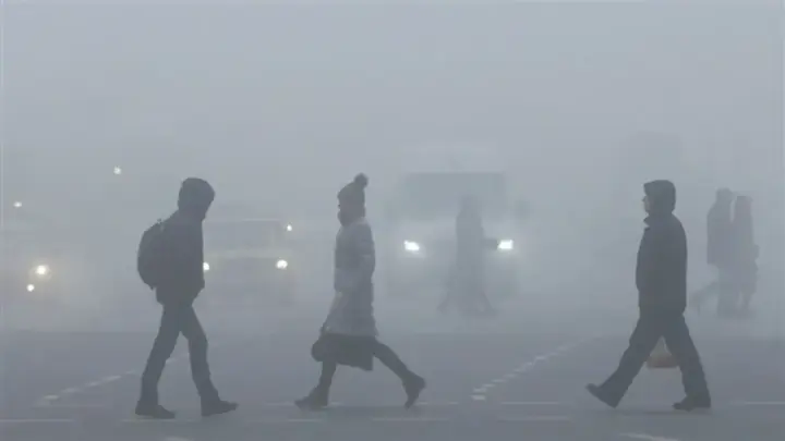 Украину накроет туман 20 декабря: объявлен I уровень опасности, видимость на дорогах 200-500 м