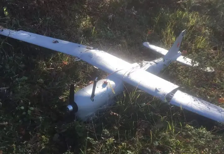 В Турции упал российский беспилотник "Орлан": ведется расследование