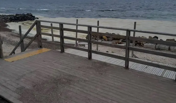 Russian strikes on Pivdennyi port caused oil spill in Black Sea - USPA