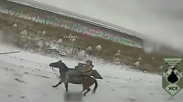 Оккупанты возобновили штурмы на лошадях под ударами дронов, животные, в отличие от россиян, не пострадали – Генштаб