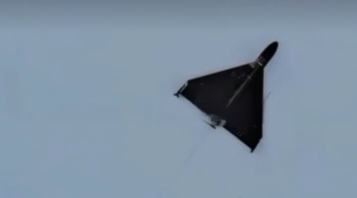 СБС перехопили ворожий "шахед" з ПЗРК: показали відео