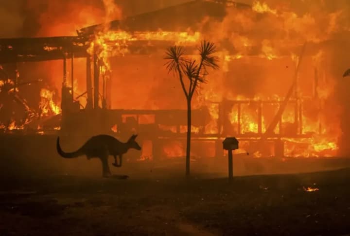 A state of disaster has been declared in Australia due to large-scale bushfires near Melbourne