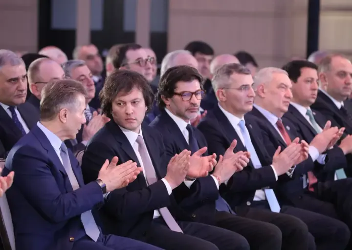 Transparency International предупредила о крахе представительной демократии в Грузии в случае запрета оппозиционных партий