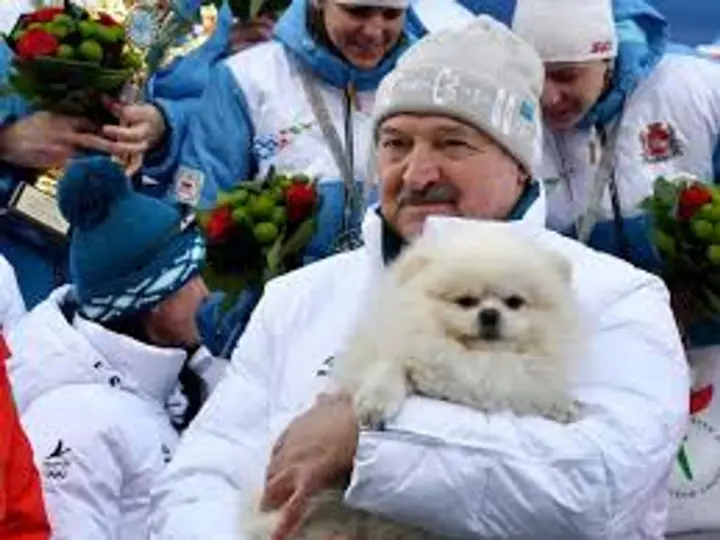 Белый шпиц лукашенко имеет больше прав, чем народ беларуси - Зеленский