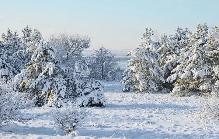 Прогноз погоди на 27 січня: в Україні очікуються температурні контрасти та сильний вітер