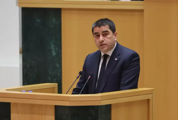 Спікер парламенту Грузії заявив, що призначення посла України не змінює курс, санкцій проти рф не буде