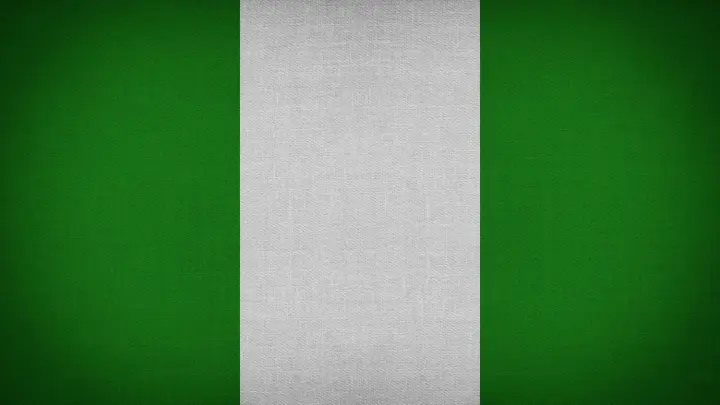 Серія вибухів у нігерійському місті Майдугурі стала причиною жертв і поранень людей