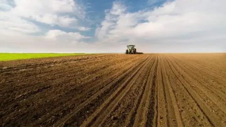The Ministry of Economy named the main risk for Ukrainian farmers during the sowing campaign