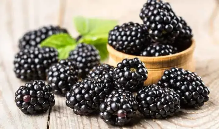 Blackberries, apples, and green tea: scientists name the best foods for heart health