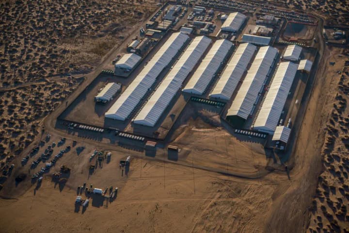 У найбільшому центрі ICE в США охоронець загубив заряджену зброю, а затриманих не перевіряли на туберкульоз