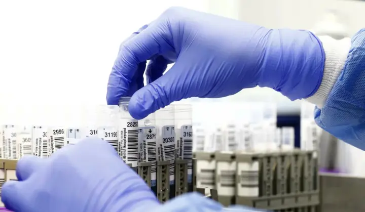 US Director of National Intelligence Gabbard stated there are American "biolabs" around the world, including in Ukraine