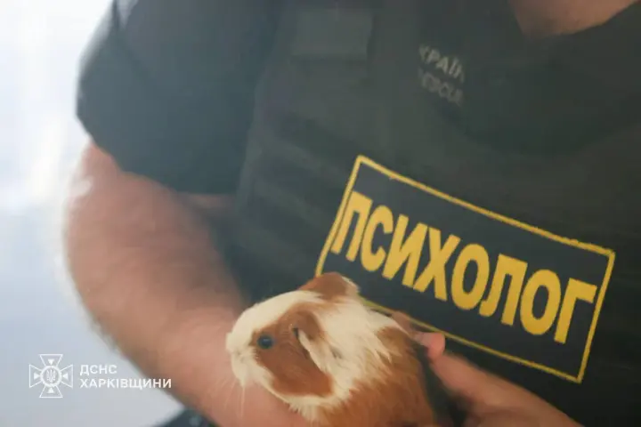 Кілька тварин загинули внаслідок ворожого удару по зоопарку в Харкові