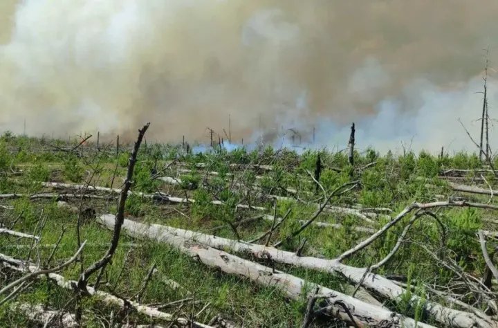 Fire in Zhytomyr region nature reserve extinguished after four days following Russian attack