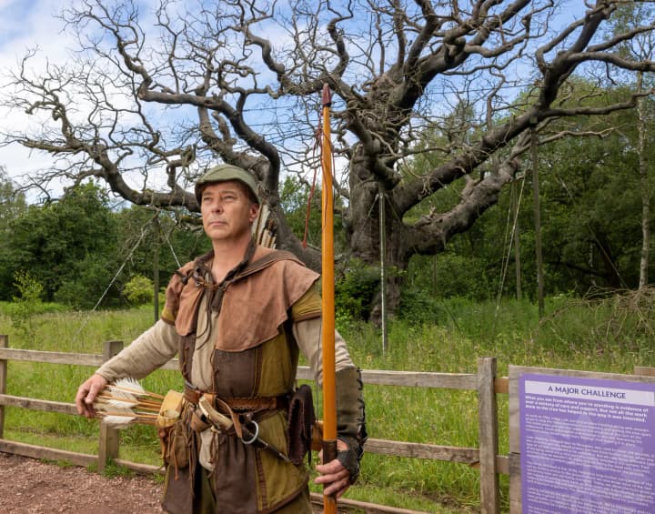 In Britain, the thousand-year-old Robin Hood oak has died due to the heat