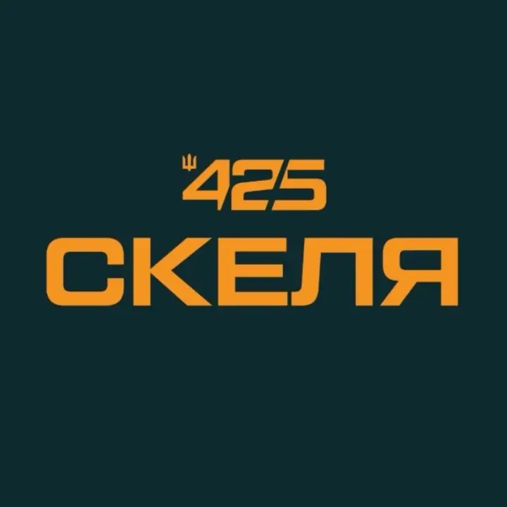 ДБР розслідує можливі порушення прав військових штурмового полку "Скеля"