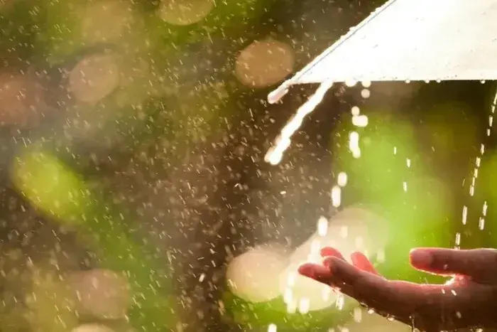 In Ukraine, on July 9, cool weather and rain are expected, in the east up to +30 degrees
