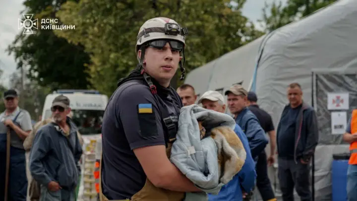 Надзвичайники врятували рудого котика з опіками після атаки рф у Вишневому