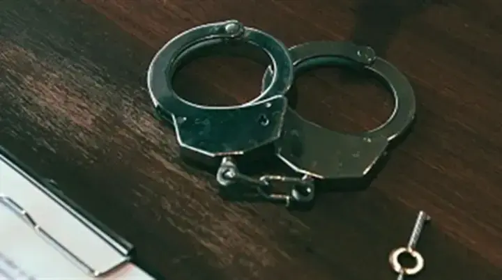 Screamed, beat, and left without water in the heat: a Kyiv resident may face three years in prison for killing a dog