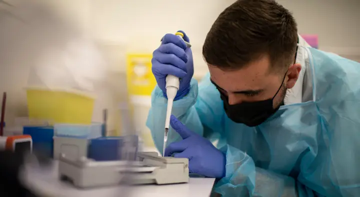 Австралия подтвердила первый случай H5N1 у местной морской птицы
