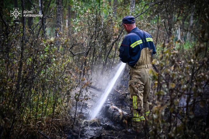 A forest fire that lasted two weeks has been extinguished in the Chornobyl Exclusion Zone