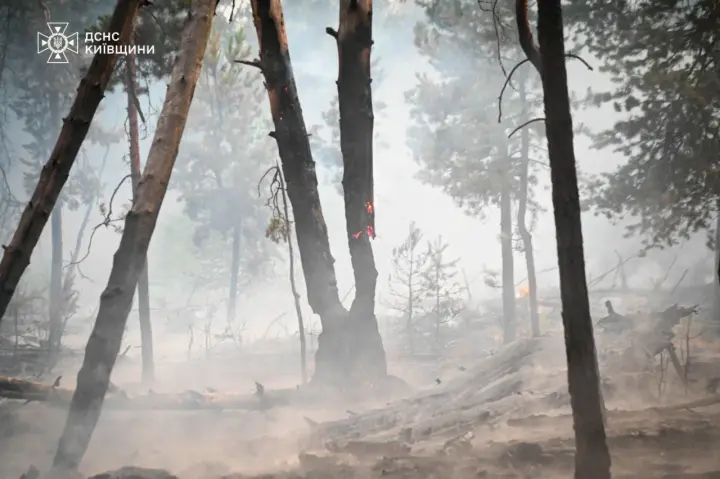 In the Exclusion Zone, forest litter is burning, radiation levels are normal